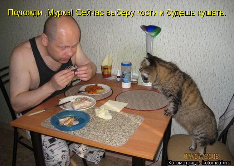 Подожди ,Мурка! Сейчас выберу кости и будешь кушать.... Котоматрица: Подожди ,Мурка! Сейчас выберу кости и будешь кушать.