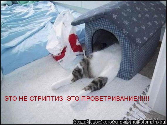 Котоматрица: ЭТО НЕ СТРИПТИЗ -ЭТО ПРОВЕТРИВАНИЕ!!!!!!