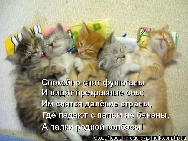 Котоматрица: Спокойно спят фулюганы И видят прекрасные сны: Им снятся далёкие страны, Где падают с пальм не бананы, А палки родной колбасы!