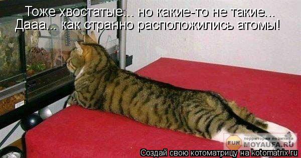 Котоматрица: Тоже хвостатые... но какие-то не такие... Дааа... как странно расположились атомы!