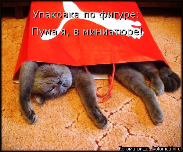 Котоматрица: Упаковка по фигуре: Пума я, в миниатюре!