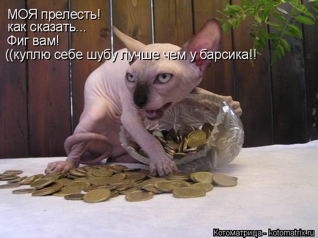 МОЯ прелесть! как сказать... Фиг вам! ((куплю себе шубу лучше чем у барсика!!... Котоматрица: МОЯ прелесть! как сказать... Фиг вам! ((куплю себе шубу лучше чем у барсика!!