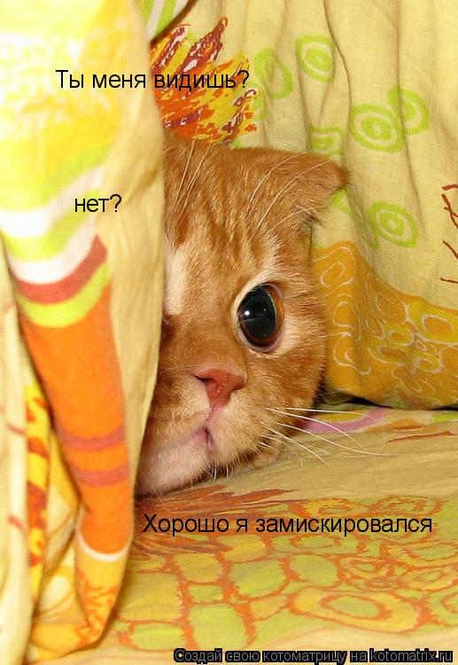 Ты меня видишь? нет? Хорошо я замискировался... Котоматрица: Ты меня видишь? нет? Хорошо я замискировался
