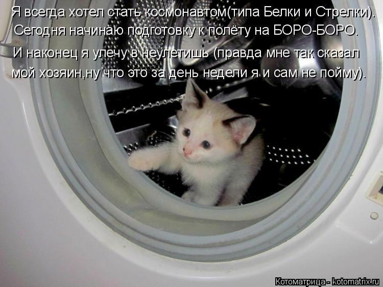 Я всегда хотел стать космонавтом(типа Белки и Стрелки). Сегодня начинаю подготовку к полёту на БОРО-Б... Котоматрица: Я всегда хотел стать космонавтом(типа Белки и Стрелки). Сегодня начинаю подготовку к полёту на БОРО-БОРО. И наконец я улечу в неулетишь (прав