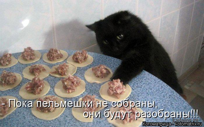 - Пока пельмешки не собраны, они будут разобраны!!!... Котоматрица: - Пока пельмешки не собраны, они будут разобраны!!!