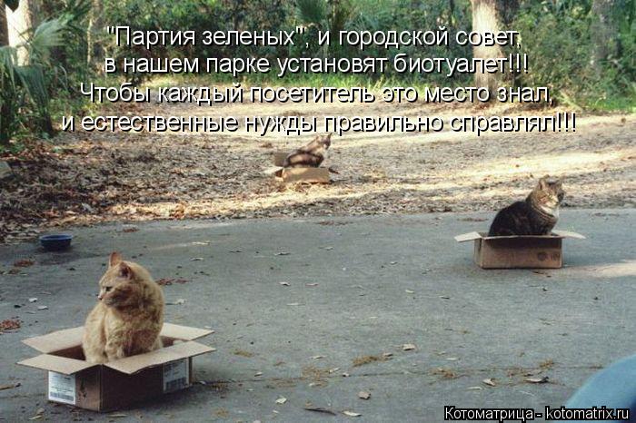 "Партия зеленых", и городской совет, в нашем парке установят биотуалет!!! Чтобы каждый посетитель это... Котоматрица: "Партия зеленых", и городской совет, в нашем парке установят биотуалет!!! Чтобы каждый посетитель это место знал, и естественные нужды правил