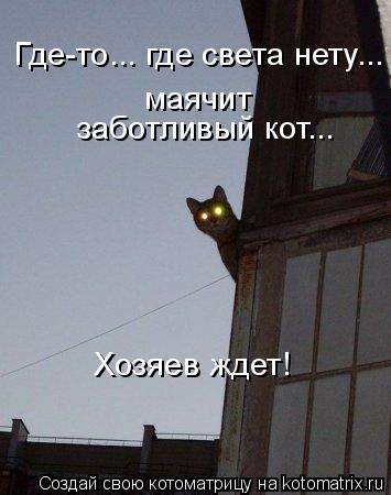 Где-то... где света нету... маячит заботливый кот... Хозяев ждет!... Котоматрица: Где-то... где света нету... маячит заботливый кот... Хозяев ждет!