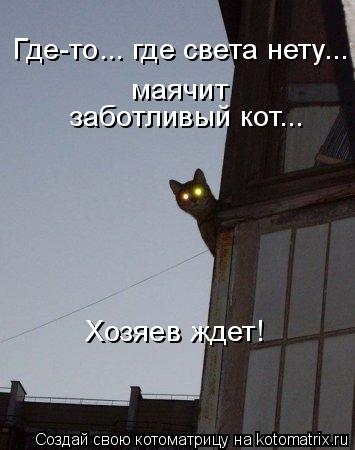 Котоматрица: Где-то... где света нету... маячит  заботливый кот... Хозяев ждет!