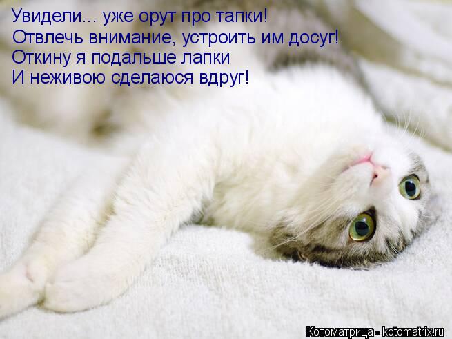 Котоматрица: Увидели... уже орут про тапки! Отвлечь внимание, устроить им досуг! Откину я подальше лапки И неживою сделаюся вдруг!