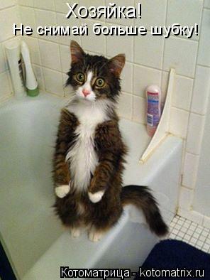 Котоматрица: Хозяйка!  Не снимай больше шубку!