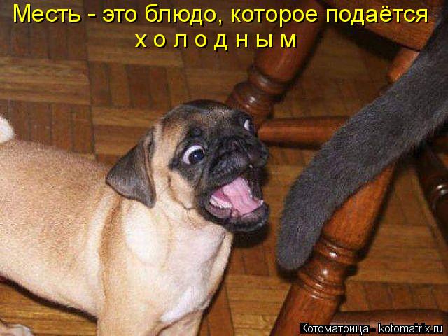 Котоматрица: Месть - это блюдо, которое подаётся х о л о д н ы м