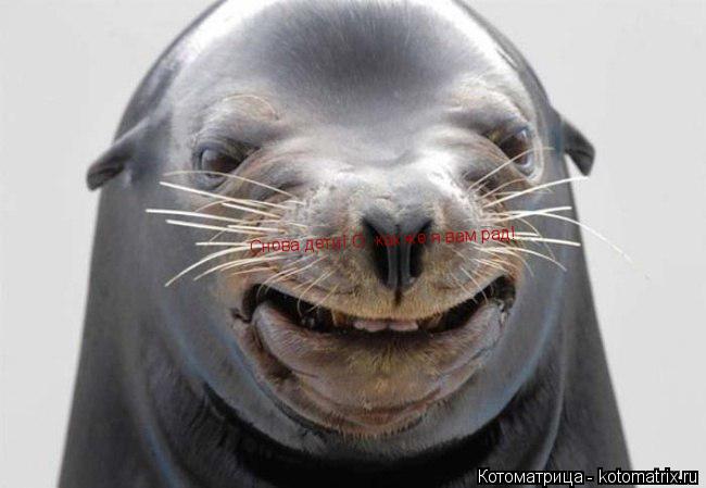 Снова дети! О, как же я вам рад!... Котоматрица: Снова дети! О, как же я вам рад!