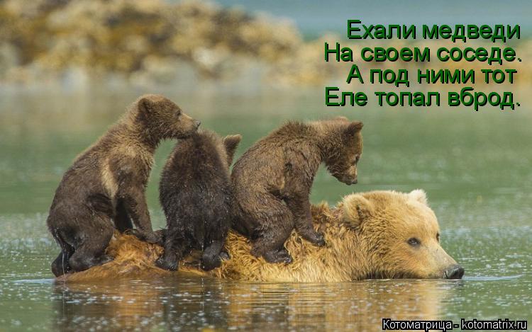 Еле топал вброд. А под ними тот На своем соседе. Ехали медведи... Котоматрица: Еле топал вброд. А под ними тот На своем соседе. Ехали медведи