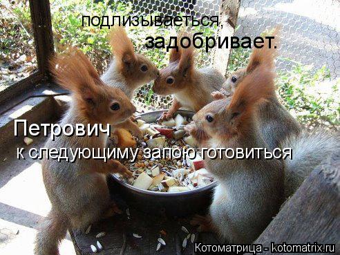 задобривает. к следующиму запою готовиться подлизываеться, Петрович... Котоматрица: задобривает. к следующиму запою готовиться подлизываеться, Петрович