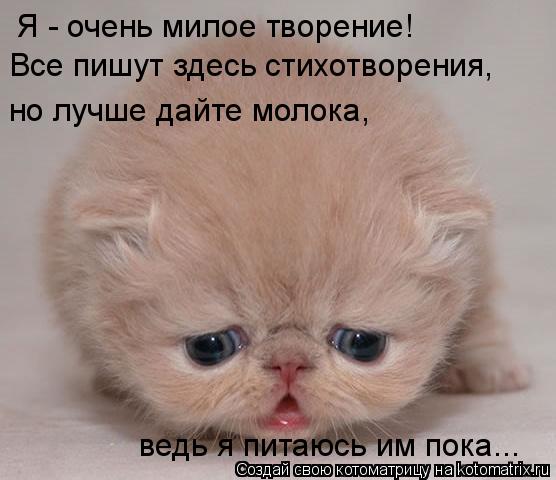 Я - очень милое творение! Все пишут здесь стихотворения, но лучше дайте молока, ведь я питаюсь им ... Котоматрица: Я - очень милое творение! Все пишут здесь стихотворения, но лучше дайте молока, ведь я питаюсь им пока...