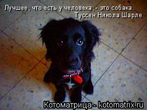 Лучшее, что есть у человека, - это собака. Туссен Никола Шарле... Котоматрица: Лучшее, что есть у человека, - это собака. Туссен Никола Шарле