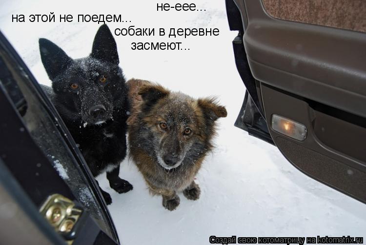 не-еее... на этой не поедем... собаки в деревне засмеют...... Котоматрица: не-еее... на этой не поедем... собаки в деревне засмеют...