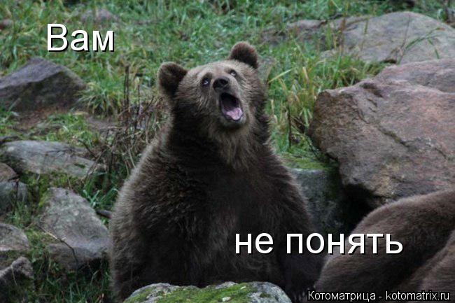 Котоматрица: Вам не понять