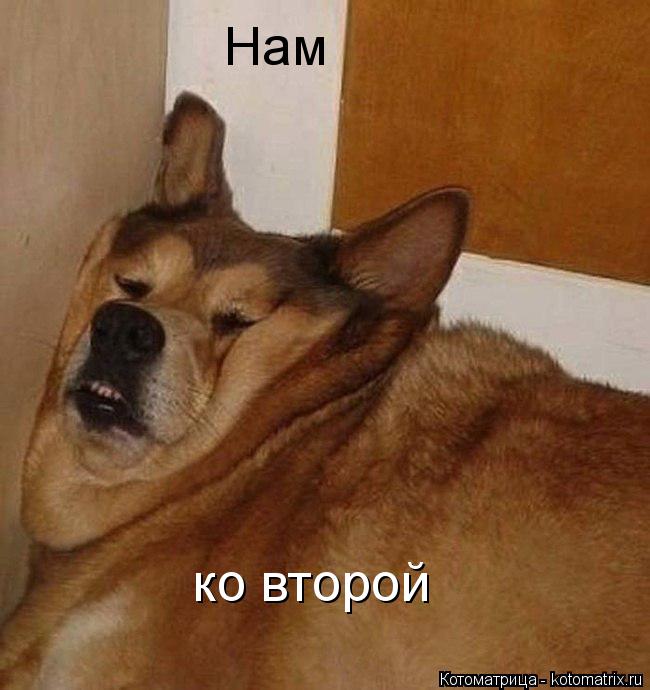 Нам ко второй... Котоматрица: Нам ко второй