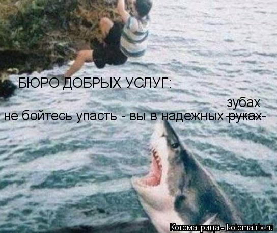 Котоматрица: не бойтесь упасть - вы в надежных руках БЮРО ДОБРЫХ УСЛУГ: зубах ---------