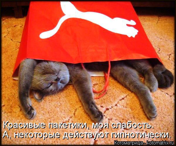 Котоматрица: Красивые пакетики, моя слабость. А, некоторые действуют гипнотически.