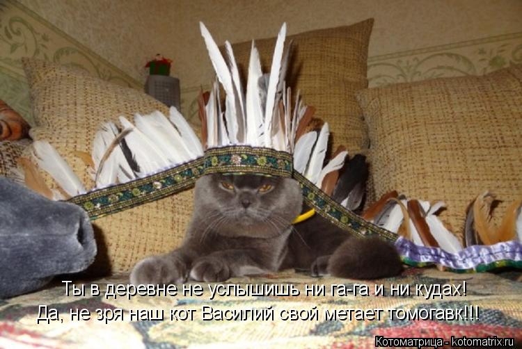 Котоматрица: Ты в деревне не услышишь ни га-га и ни кудах! Да, не зря наш кот Василий свой метает томогавк!!!