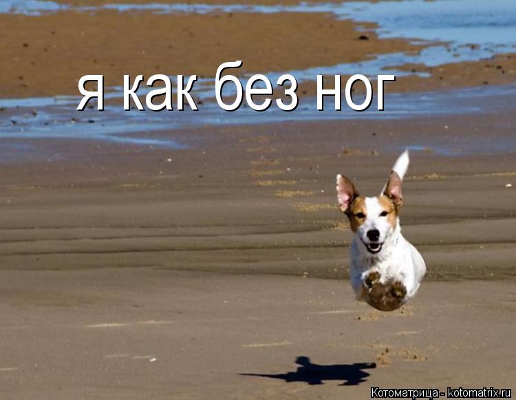 Котоматрица: я как без ног