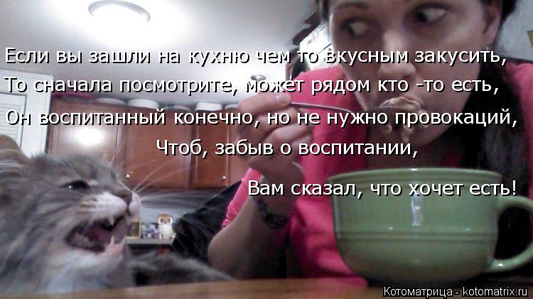 Котоматрица: Если вы зашли на кухню чем то вкусным закусить, То сначала посмотрите, может рядом кто -то есть, Он воспитанный конечно, но не нужно провокац