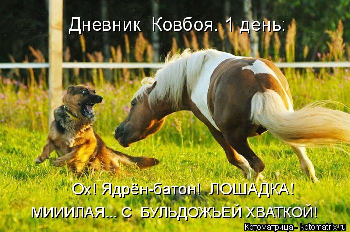 Котоматрица: Дневник  Ковбоя. 1 день: Ох! Ядрён-батон!  ЛОШАДКА! МИИИЛАЯ... С  БУЛЬДОЖЬЕЙ ХВАТКОЙ!