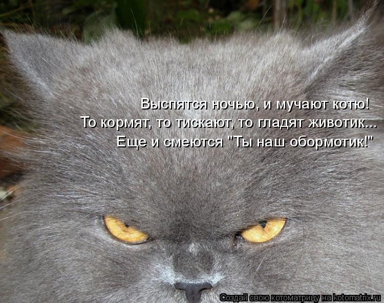 Выспятся ночью, и мучают котю! То кормят, то тискают, то гладят животик... Еще и смеются "Ты наш обор... Котоматрица: Выспятся ночью, и мучают котю! То кормят, то тискают, то гладят животик... Еще и смеются "Ты наш обормотик!"