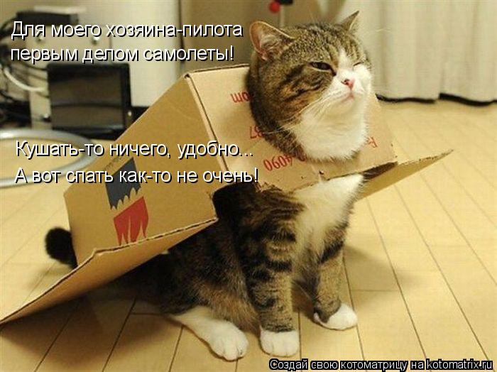 Котоматрица: Для моего хозяина-пилота первым делом самолеты! Кушать-то ничего, удобно... А вот спать как-то не очень!