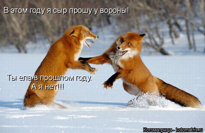 Котоматрица: В этом году я сыр прошу у вороны! Ты ела в прошлом году.  А я нет!!!