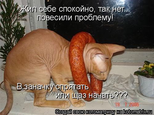 Котоматрица: Жил себе спокойно, так нет... повесили проблему! В заначку спрятать  или щаз начать???