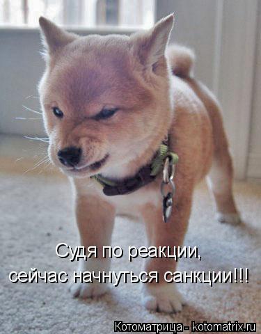 Судя по реакции, сейчас начнуться санкции!!!... Котоматрица: Судя по реакции, сейчас начнуться санкции!!!
