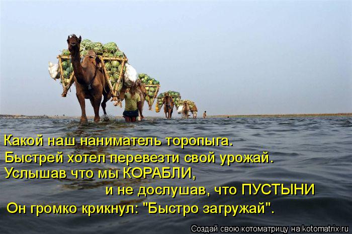Котоматрица: Какой наш наниматель торопыга. Быстрей хотел перевезти свой урожай. Услышав что мы КОРАБЛИ,  и не дослушав, что ПУСТЫНИ Он громко крикнул: "Б
