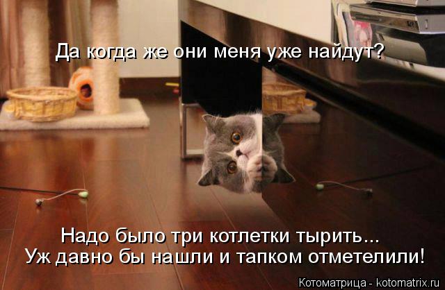 Котоматрица: Да когда же они меня уже найдут? Надо было три котлетки тырить... Уж давно бы нашли и тапком отметелили!