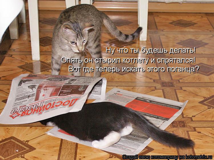 Котоматрица: Ну что ты будешь делать! Опять он стырил котлету и спрятался! Вот где теперь искать этого поганца?