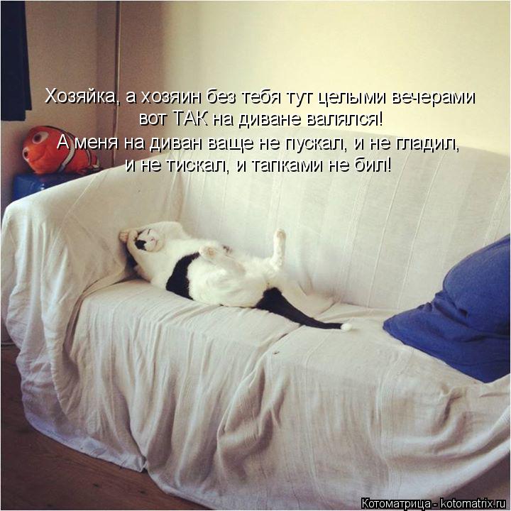 Котоматрица: Хозяйка, а хозяин без тебя тут целыми вечерами  вот ТАК на диване валялся! А меня на диван ваще не пускал, и не гладил,  и не тискал, и тапками н
