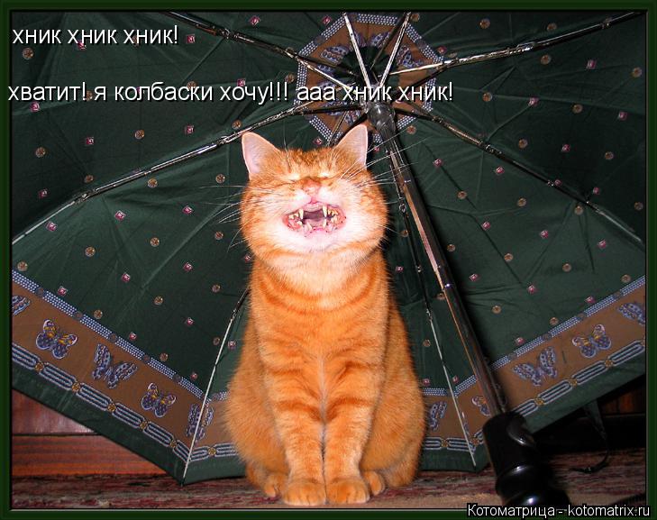 хник хник хник! хватит! я колбаски хочу!!! ааа хник хник!... Котоматрица: хник хник хник! хватит! я колбаски хочу!!! ааа хник хник!