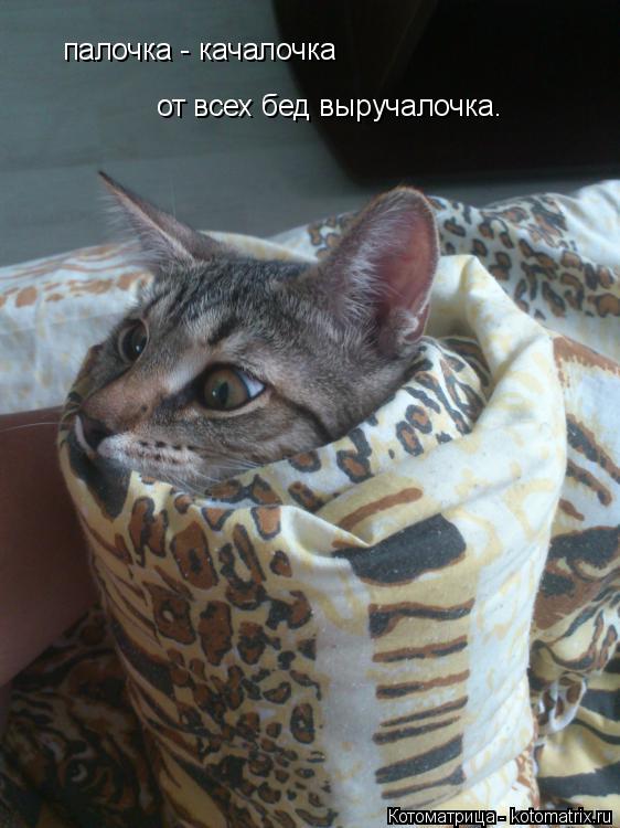 Котоматрица: палочка - качалочка от всех бед выручалочка.