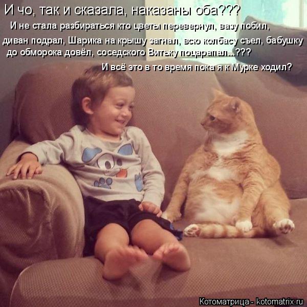 И чо, так и сказала, наказаны оба??? И не стала разбираться кто цветы перевернул, вазу побил, диван ... Котоматрица: И чо, так и сказала, наказаны оба??? И не стала разбираться кто цветы перевернул, вазу побил, диван подрал, Шарика на крышу загнал, всю колбасу