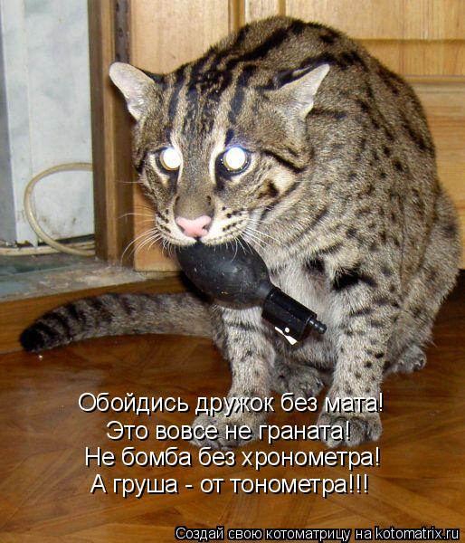 Обойдись дружок без мата! Это вовсе не граната! Не бомба без хронометра! А груша - от тонометра!!!... Котоматрица: Обойдись дружок без мата! Это вовсе не граната! Не бомба без хронометра! А груша - от тонометра!!!