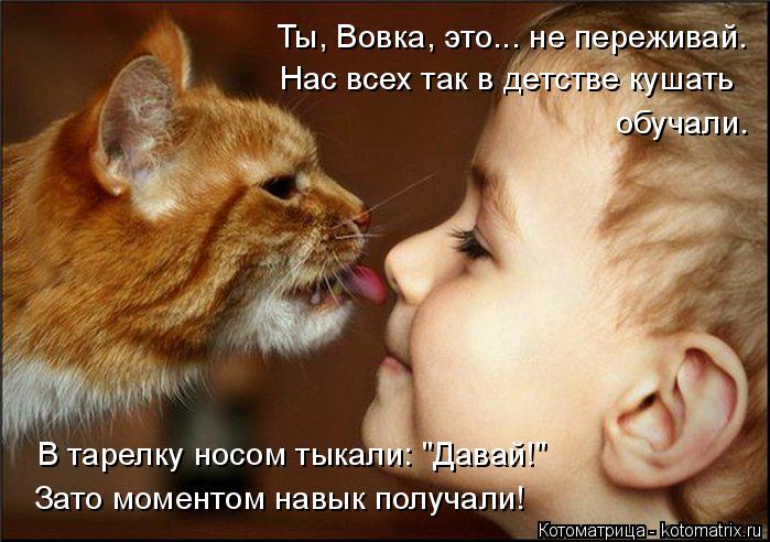 Котоматрица: Ты, Вовка, это... не переживай. Нас всех так в детстве кушать обучали. В тарелку носом тыкали: "Давай!" Зато моментом навык получали!