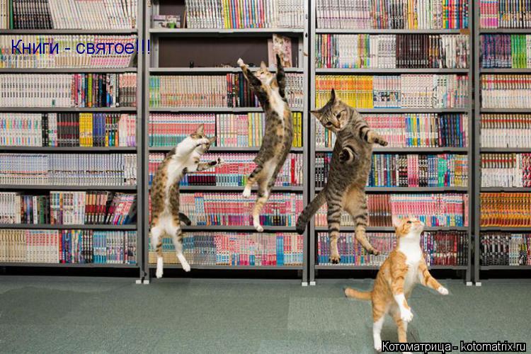 Книги - святое!!! Книги - святое!!!... Котоматрица: Книги - святое!!! Книги - святое!!!