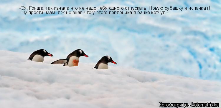 Котоматрица: -Эх, Гриша, так изнала что не надо тебя одного отпускать. Новую рубашку и испачкал! Ну прости, мам, я ж не знал что у этого полярника в банке ке