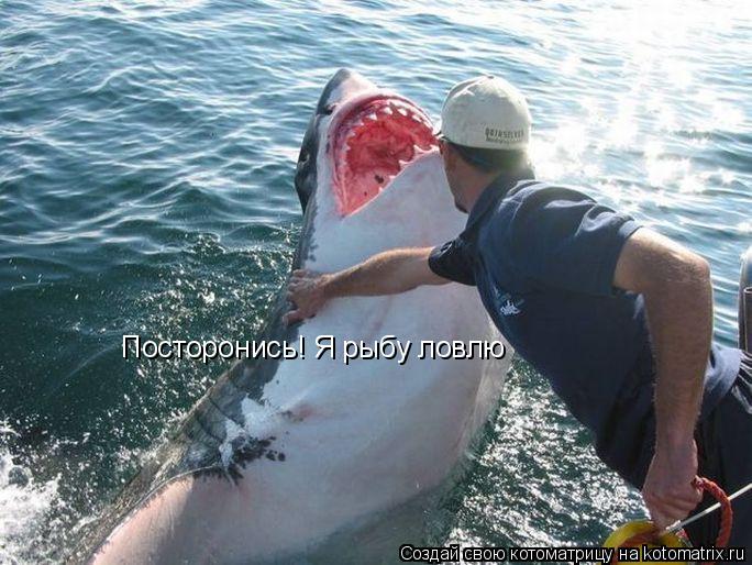 Котоматрица: Посторонись! Я рыбу ловлю