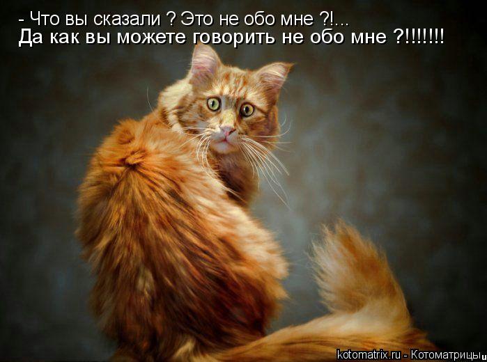 - Что вы сказали ? Это не обо мне ?!... Да как вы можете говорить не обо мне ?!!!!!!!... Котоматрица: - Что вы сказали ? Это не обо мне ?!... Да как вы можете говорить не обо мне ?!!!!!!!