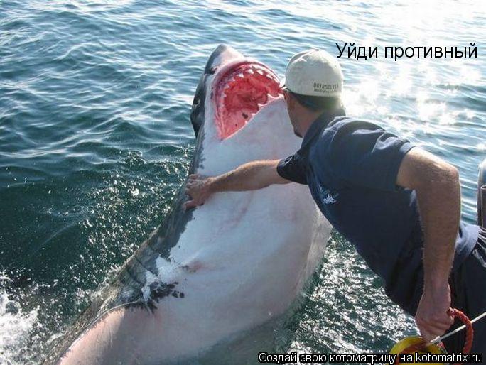 Уйди противный... Котоматрица: Уйди противный