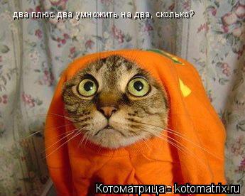 два плюс два умножить на два, сколько?... Котоматрица: два плюс два умножить на два, сколько?