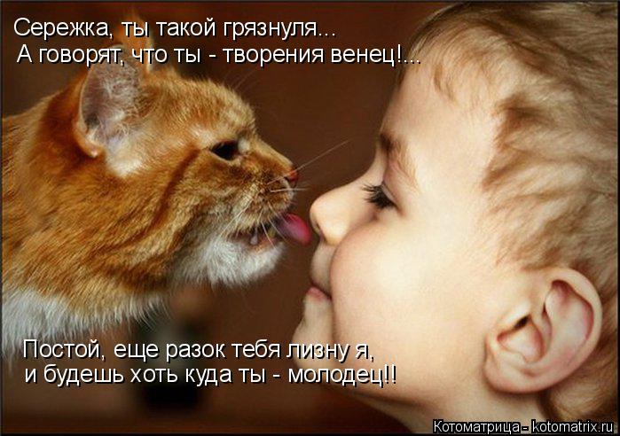 Котоматрица: Сережка, ты такой грязнуля... А говорят, что ты - творения венец!... Постой, еще разок тебя лизну я, и будешь хоть куда ты - молодец!!